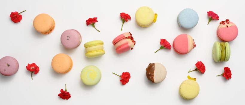 baked macarons with different flavors and rosebuds on a white background