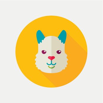 Lama flat icon. Animal head vector symbol