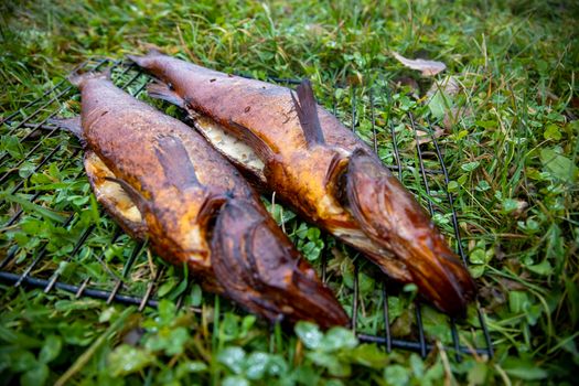 chilled river fish in smoke lies on the grate on the grass