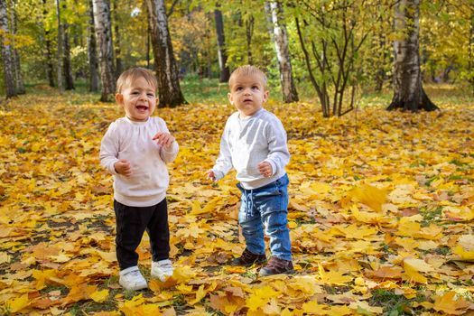 two adorable toddlers boy and girl in an autumn park in yellow leaves
