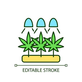 Cannabis cultivation RGB color icon