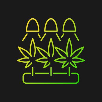 Cannabis cultivation gradient vector icon for dark theme