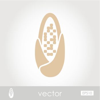 Corncob vector icon