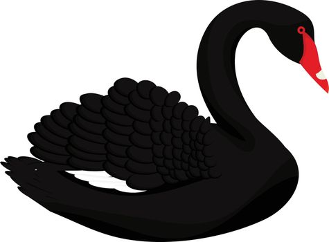 Black swan vector