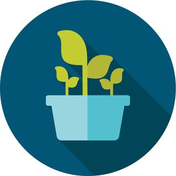 Plant in pot flat icon, garden, flowerpot