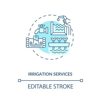 Irrigation services concept icon