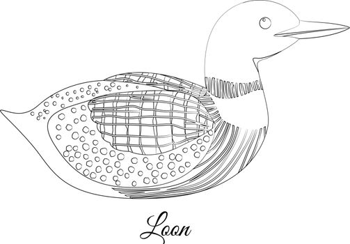 Loon bird coloring
