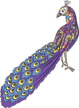 Stylized hand drawing peacock