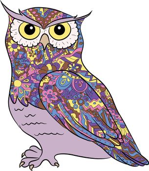 hand drawing owl