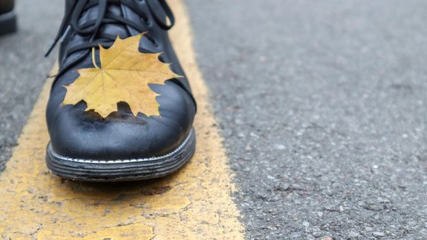 A beautiful combination of a yellow maple autumn leaf next to the yellow road markings and the legs of a girl in black boots in the park. Autumn concept, beautiful background with copy space