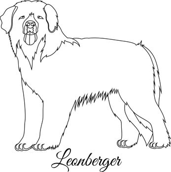 Leonberger dog outline