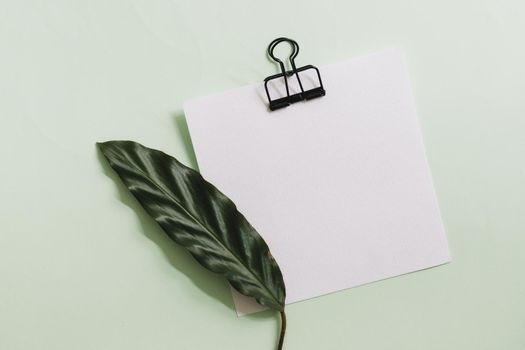 green leaf white paper with black paperclip against pastel background
