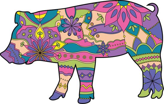 Pig colorful