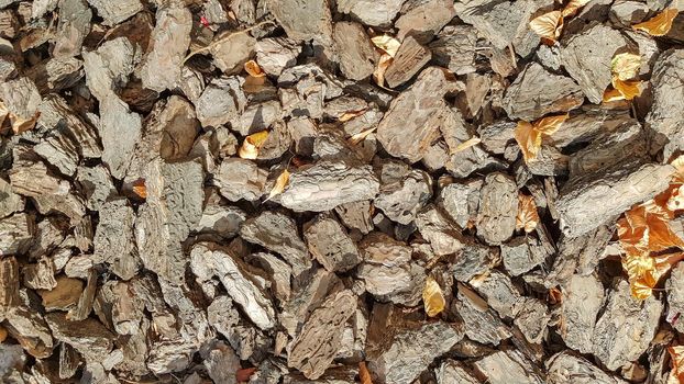 Wood Sawdust For The Garden. Texture of a tree bark lying on the ground. Background from a tree bark. Decorative bark, mulch, mulching. Decorative wood chips. Natural pine mulch brown.