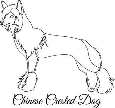 Chinese crested dog outline