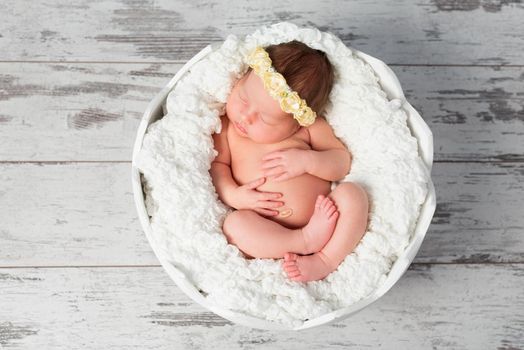 lovely sleeping newborn girl in eggshell basket