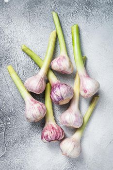 Fresh Spring young garlic bulbs on kitchen table. White background. Top view