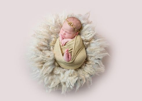 infant sleeping swaddled with rabbit toy, topview