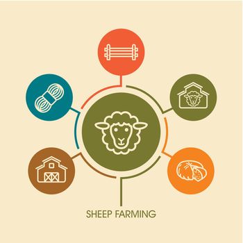 Sheep farming icon and agriculture infographics