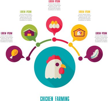 Chicken farming icon and agriculture infographics