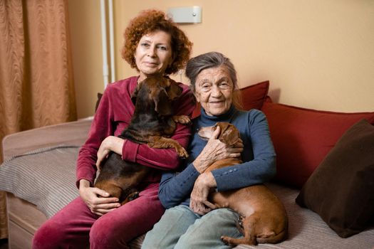 The theme is animal therapy, caring for elderly with dementia and Alzheimer's disease. Adult women spend time with elderly mother and pets dogs to bring joy and pleasure, affection for loved ones.