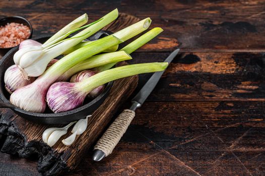 Young Spring garlic bulbs and cloves in a pan. Dark Wooden background. Top view. Copy space