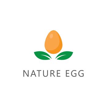 Egg illustration vector