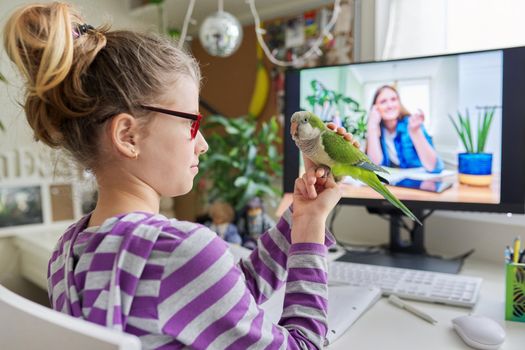 Pre-adolescent student girl at home with parrot pet, studying, watching video lesson on computer