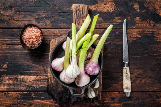 Young Spring garlic bulbs and cloves in a pan. Dark Wooden background. Top view