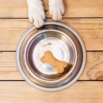 dog food bowl with bone
