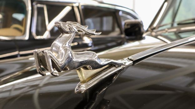 Photo of a prancing deer mascot with reflection on the hood of a black Soviet classic legendary retro car. Chromed metal symbol of a deer close up. Ukraine, Kiev - June 10, 2021.