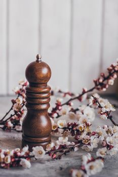 Pepper or coffee vintage wooden grinder on light background with apricot blossom branch