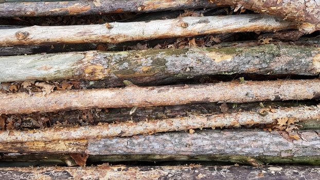 Firewood on big pile , top view, beautiful wooden logs. background of stacked logs top view from the drone. pile stacked natural sawn wooden logs background