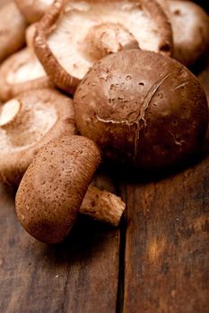 shiitake mushrooms