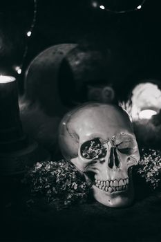 Occult mystic ritual halloween witchcraft scene - human scull, candles, dried flowers, moon and owl