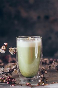 Cup of matcha latte tea with brunch of cherry blossoms