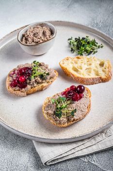 Toasts with chicken rillettes pate on white bread with sprouts. White background. Top View
