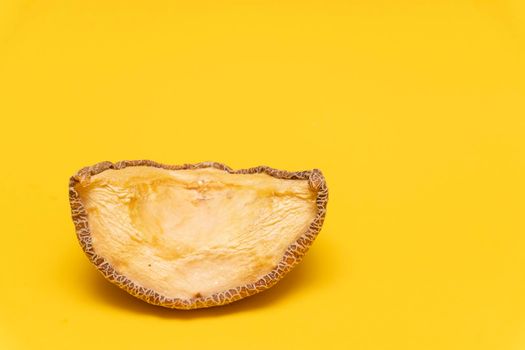 Closeup of moldy dried melon at yellow background,