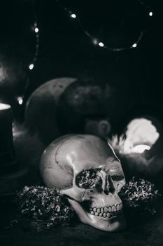 Occult mystic ritual halloween witchcraft scene - human scull, candles, dried flowers, moon and owl