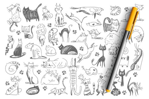 Cats doodle set. Collection of hand drawn childish patterns domesticated animals kitties kitten pets in different poses isolated on white background. Human friends vector illustration for kids.