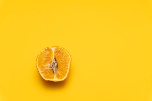 Closeup at the moldy dried orange tangerine on yellow background,