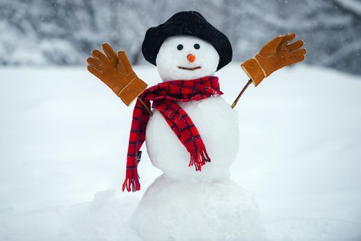 Snowman with hat and scarf in winter outdoor. The snowman is wearing a fur hat and scarf. Christmas background with snowman.