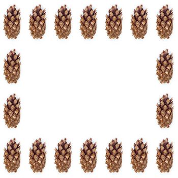 pine cones on white wood table, purity Christmas decoration