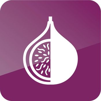 Fig outline icon. Tropical fruit