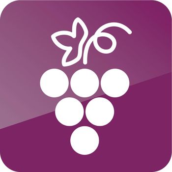 Grapes outline icon. Fruit