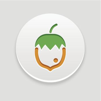 Nut icon. Fruit vector illustration