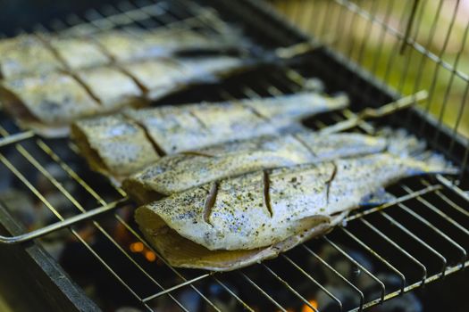 Preparing fresh trout fish on charcoal grill