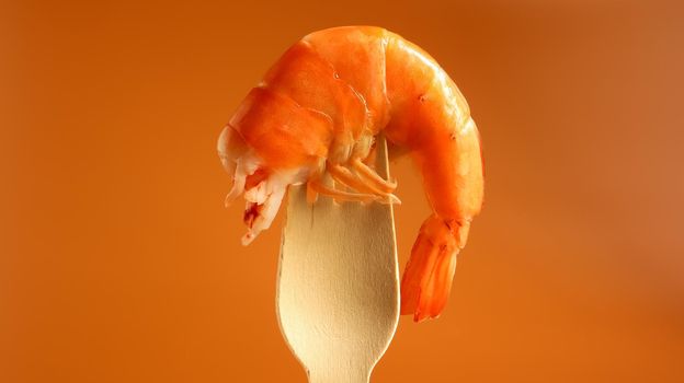 One large king cooked shrimp in the sink on a wooden fork on a brown background. Infrastructure of crustaceans of the decapod, eating carrion. Sea delicacy. Shrimp is used in cooking. Beer snack