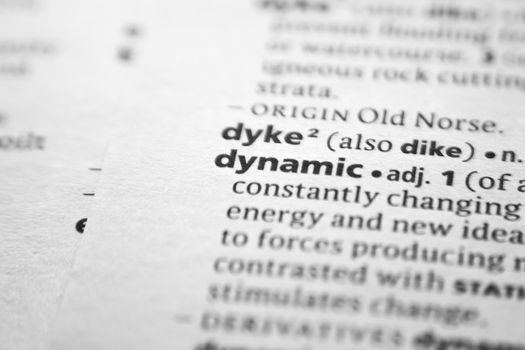 Word or phrase Dynamic in a dictionary.