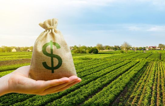 Dollar money bag on farm field. Lending and subsidizing farmers. Grants, financial support. Agribusiness profit. Land tax. Agricultural startups. Secured loan. Investment. Land value valuation.